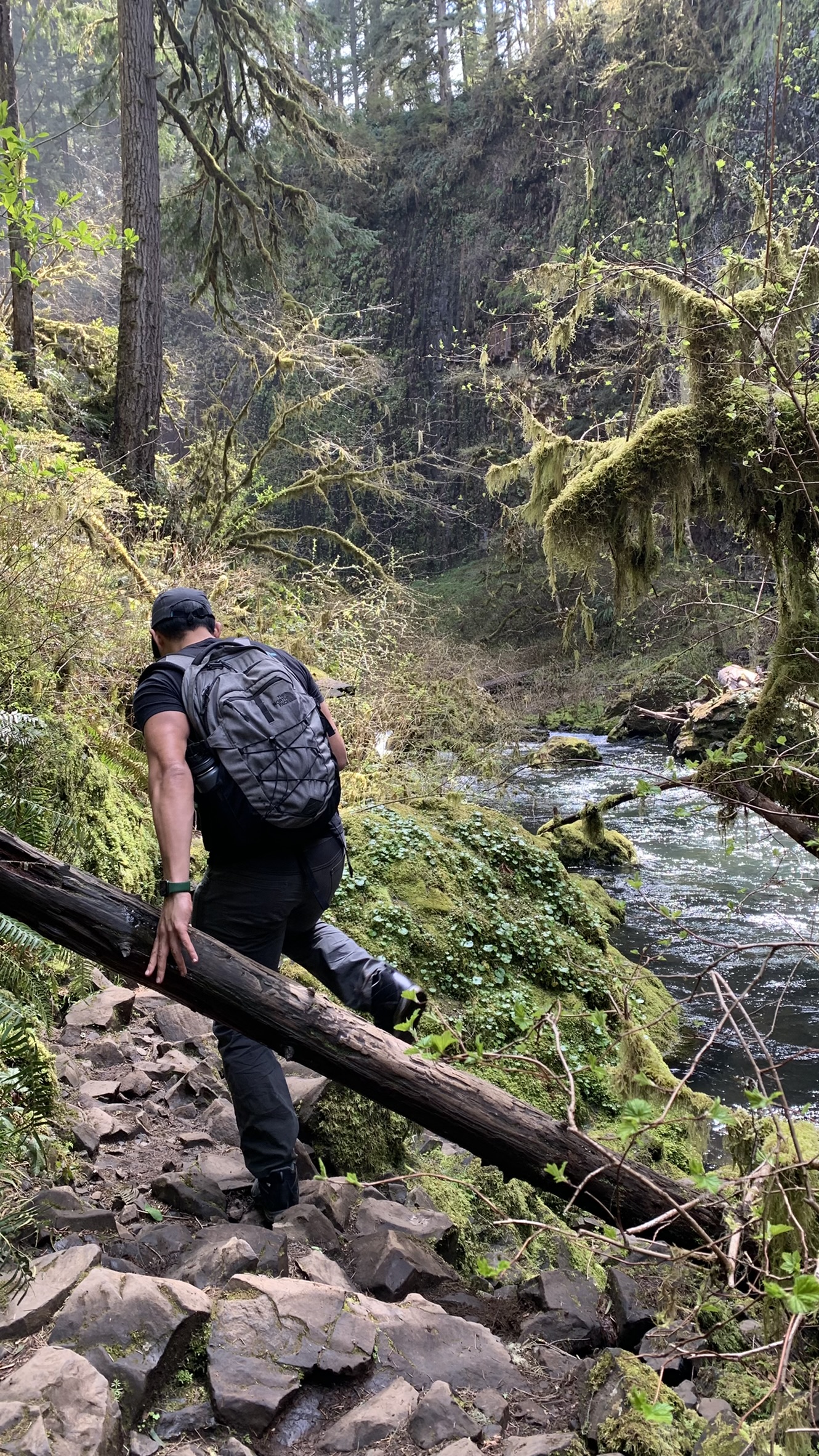 Jay walking along the river to Abiqua Falls