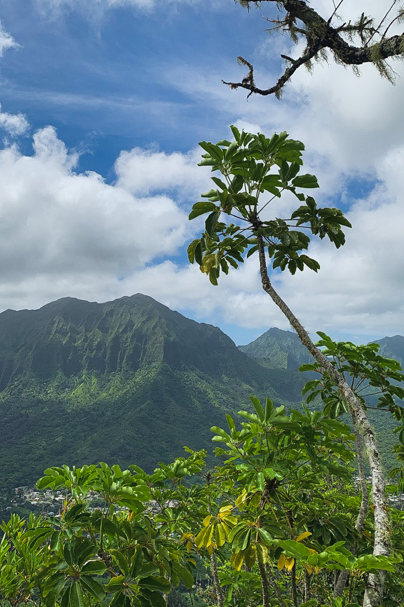 View of the mountain ridges from Olomana