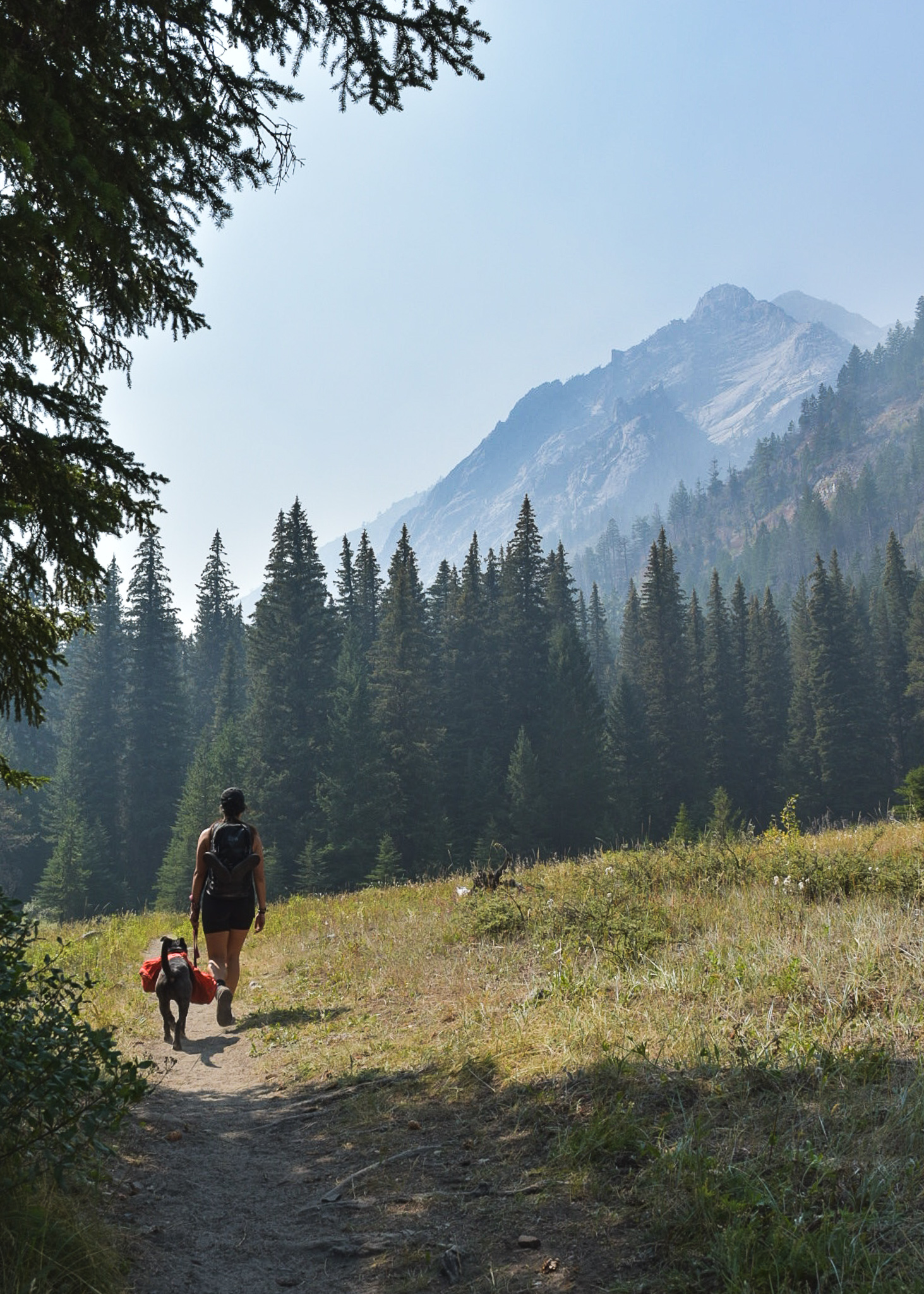 Mia and Zella walking on a hiking trail in the Wallowa Mountains in Eastern Oregon