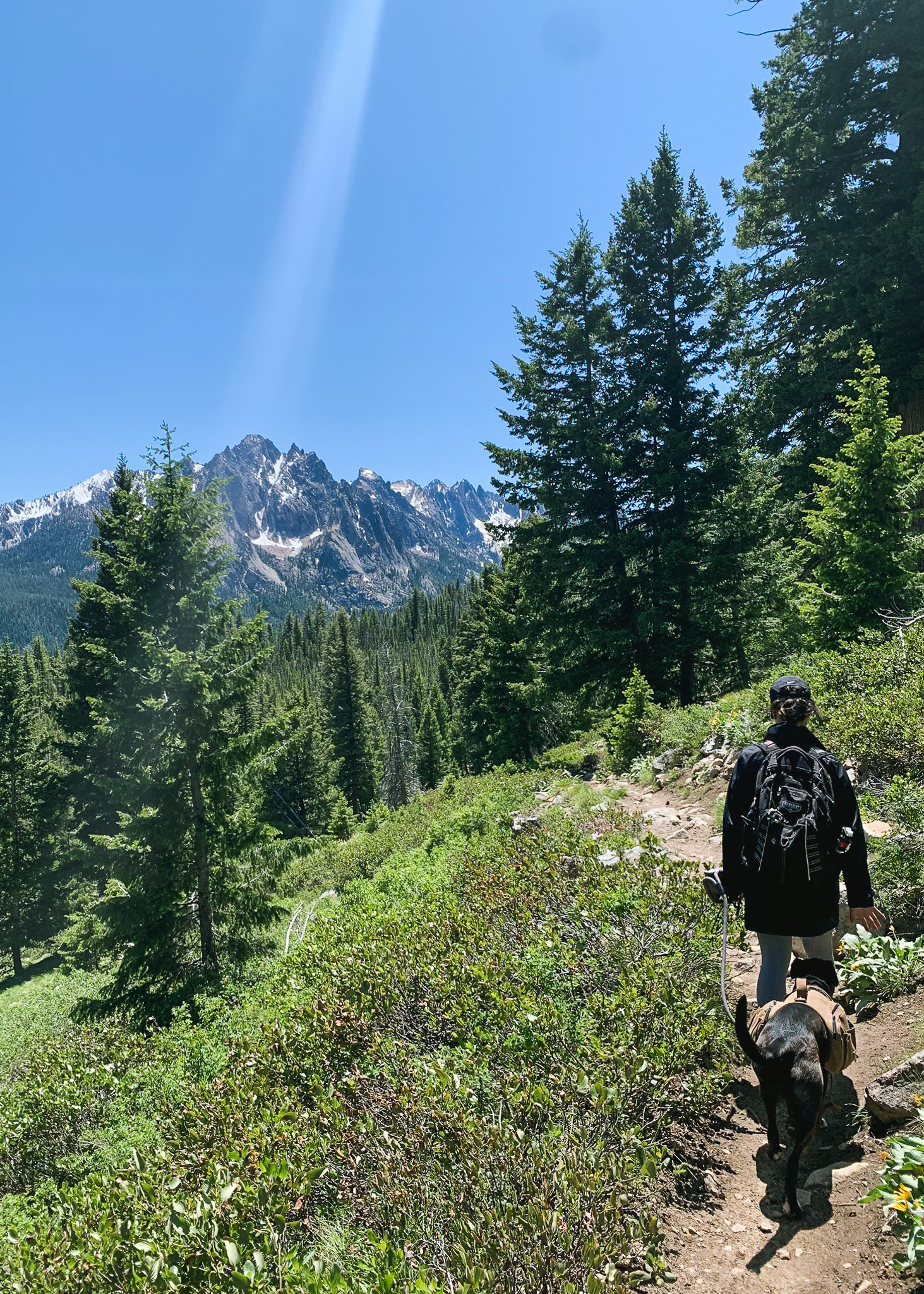 Mia and her dog hiking through the Sawtooth Mountains in Idaho.