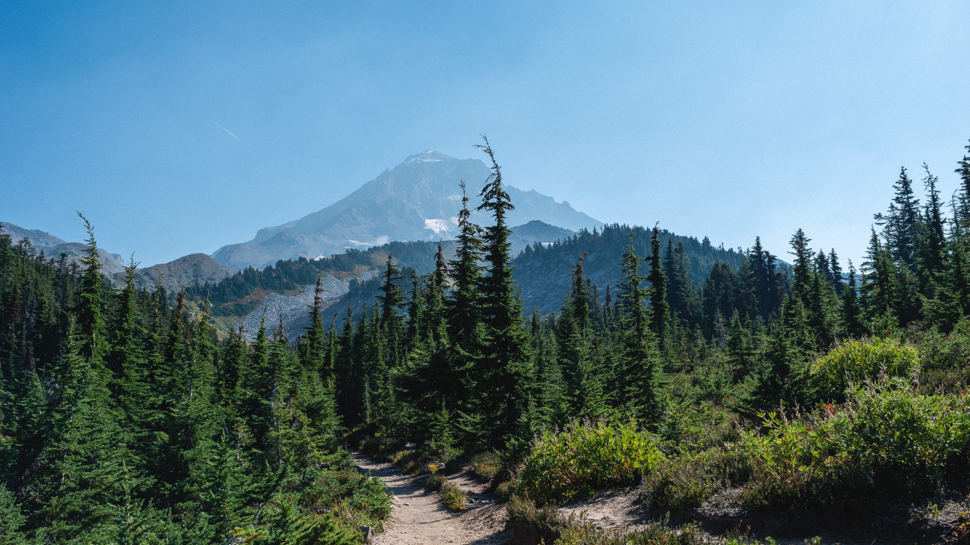 Top 8 Hikes near Mt. Hood - Hike and Seek Adventures