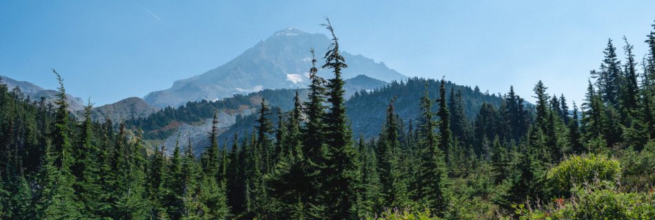 View of Mt. Hood from the Top Spur hiking trail in Oregon