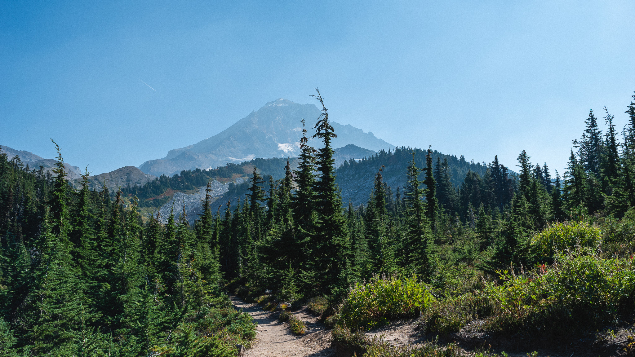 View of Mt. Hood from the Top Spur hiking trail in Oregon