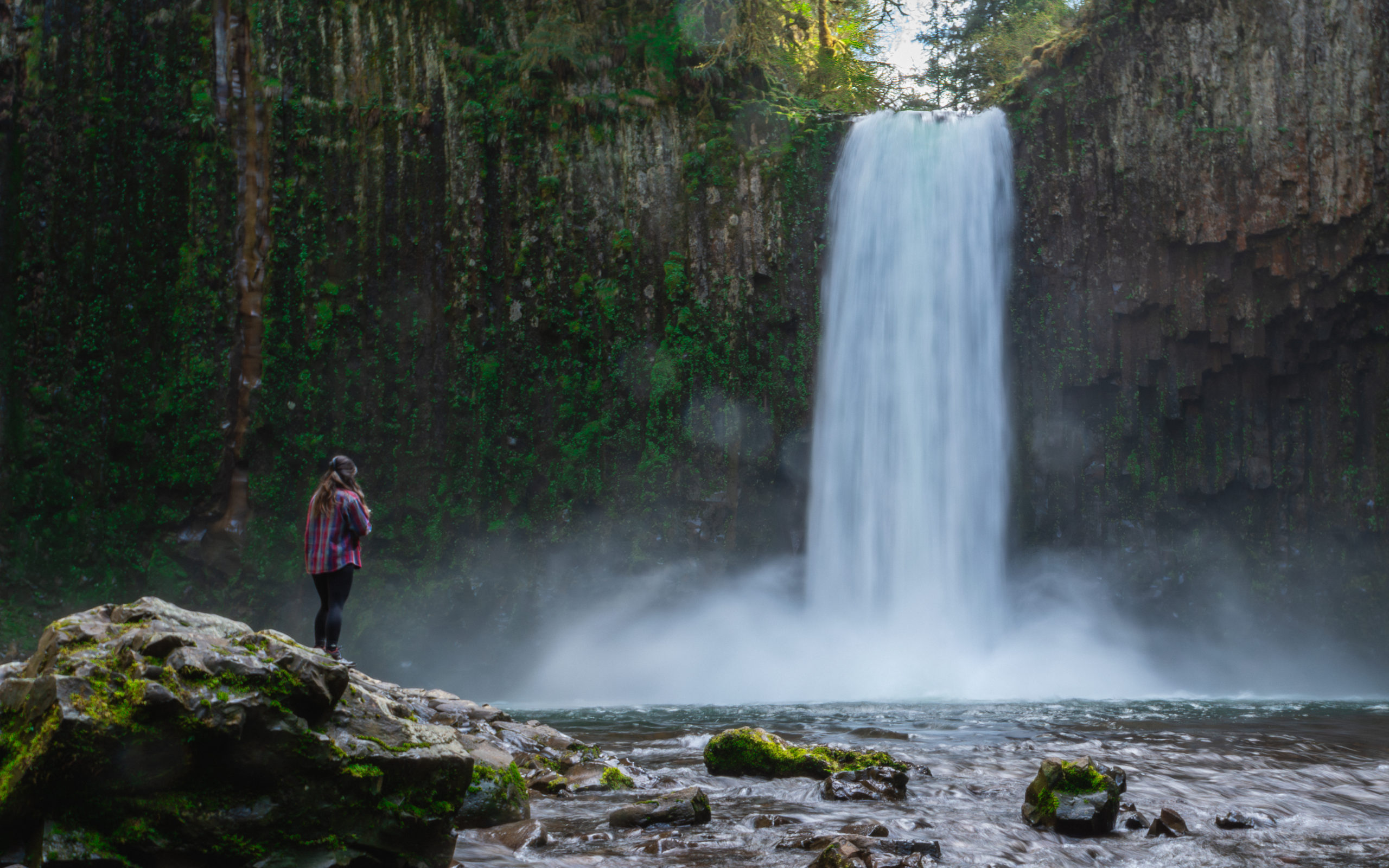 Hike to Abiqua Falls with basalt columns