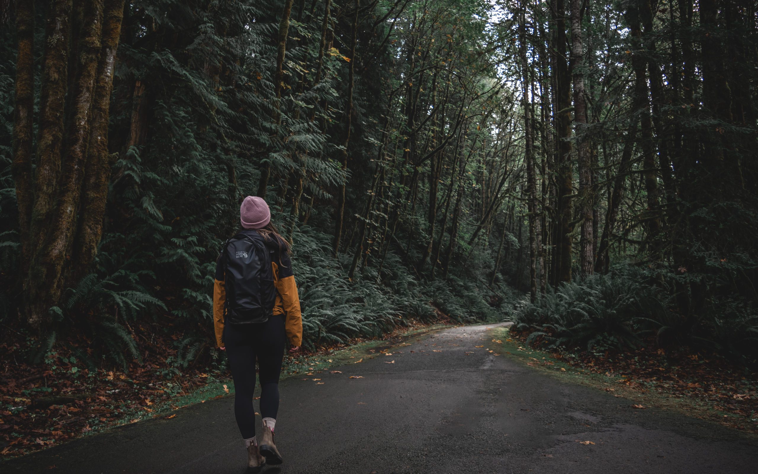 Hiking the Banks Vernonia trail